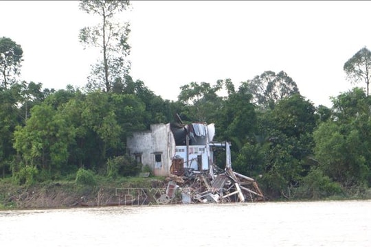 Vĩnh Long khẩn trương khắc phục sạt lở, ứng phó triều cường