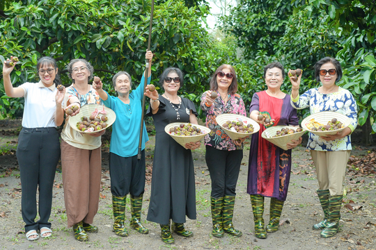 Vì sao dưỡng lão bán trú nở rộ?