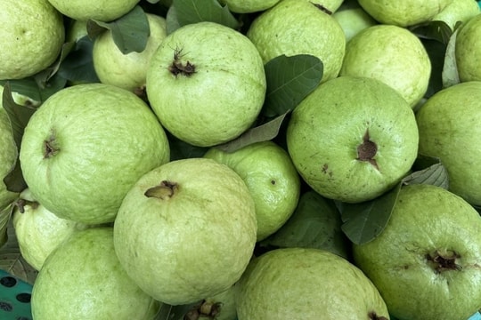 7 loại quả ngọt người tiểu đường có thể ăn hàng tuần