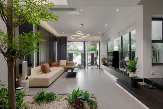 Vợ chồng Gen Z chi 3,5 tỷ hoàn thiện nhà ống 250 m2