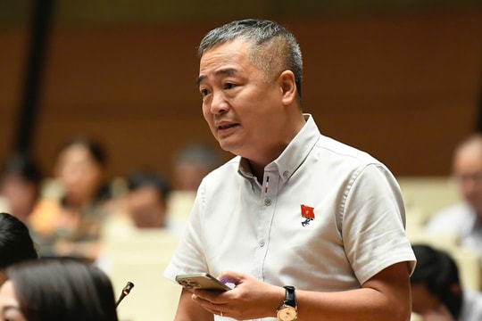 Đề xuất khảo sát nguồn gỗ tự nhiên dùng cho đồ nội thất