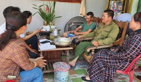 Truy thu tiền thuê đất của hàng trăm công nhân, lãnh đạo Công ty cà phê 719 nói gì?