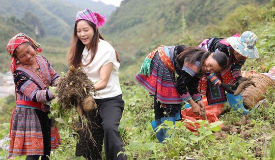 Khoai sâm đất vốn giá rẻ bèo trở thành đặc sản nhờ livestream