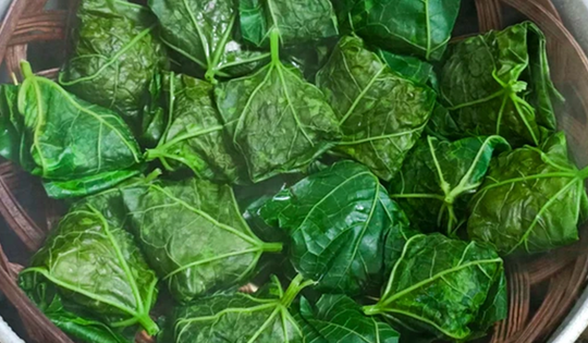 Đừng chỉ ăn quả, lá loại cây này quý như "nhân sâm người nghèo", ở quê mọc đầy bờ rào