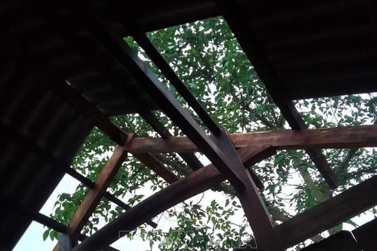 Lốc xoáy trong đêm gây thiệt hại gần 1 tỷ đồng tại Cà Mau