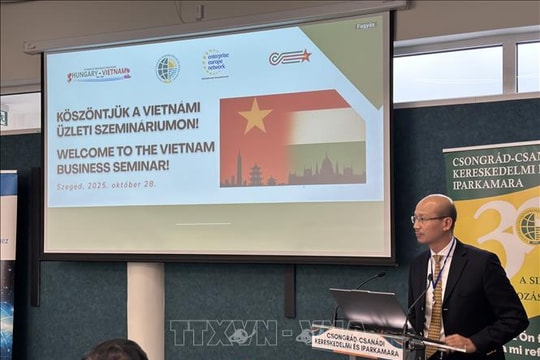 75 năm quan hệ Việt Nam - Hungary: Tăng cường kết nối và hợp tác doanh nghiệp