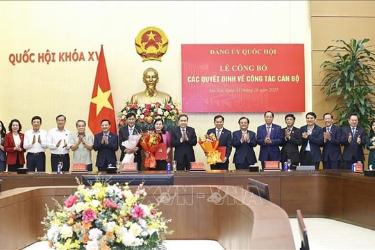 Nghị quyết của Ủy ban Thường vụ Quốc hội về công tác cán bộ