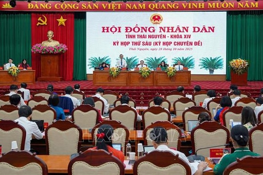 Cơ cấu, thành phần người được giới thiệu ứng cử đại biểu Hội đồng nhân dân