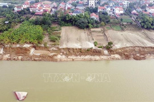 Người dân bất an khi bờ sông Lô sạt lở nghiêm trọng
