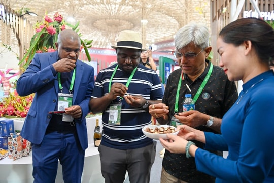 Doanh nghiệp quốc tế tìm kiếm cơ hội hợp tác tại Hội chợ Mùa Thu 2025