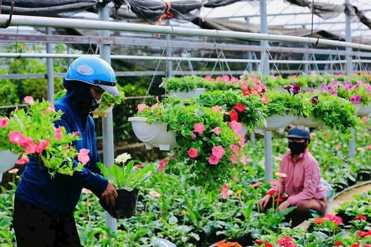 Một ngày trải nghiệm thu Hà Nội với tour riêng