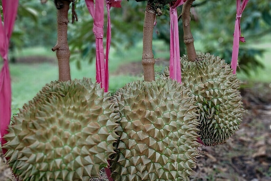 Doanh nghiệp của bầu Đức muốn niêm yết hai công ty con