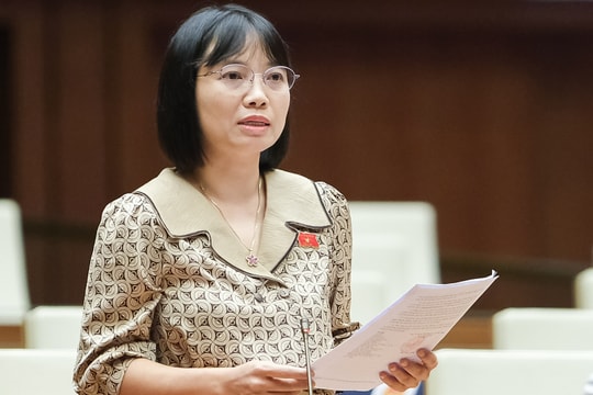 Đề xuất lập lực lượng cứu trợ nhân dân