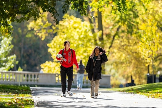 Đóng băng tuyển nghiên cứu sinh tiến sĩ ở Mỹ