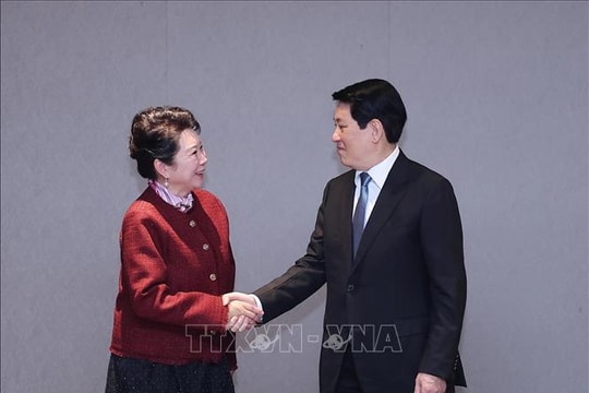 Chủ tịch nước Lương Cường tiếp Nhà sáng lập Tập đoàn MEBO International