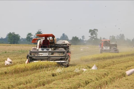 Việt Nam trở thành nước ký bản ghi nhớ thương mại gạo đầu tiên của Singapore