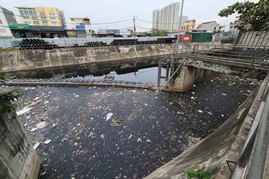 Hiện trạng ô nhiễm 4 dòng sông đang được Hà Nội nỗ lực 'hồi sinh'