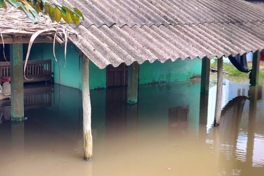 Những con số thiệt hại chục nghìn tỷ với bài toán sinh kế cho nông dân