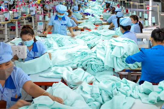 Công ty may 50 tuổi 'sống' nhờ cho thuê sân pickleball