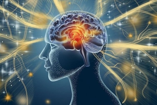 Con người có thể tải não lên máy tính hay không?