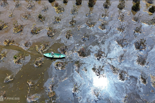 Hai trận lụt đánh chìm giấc mơ tỷ phú sầu riêng