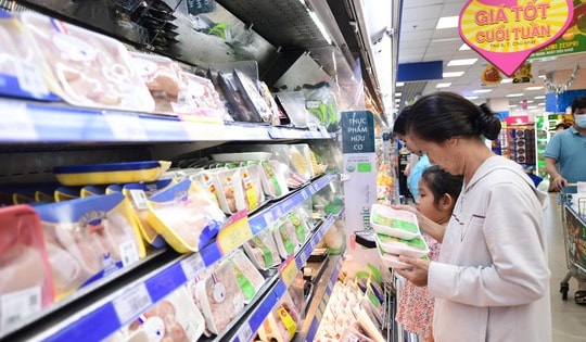 Tăng tốc để TP HCM tăng trưởng (*): Đột phá từ kích cầu tiêu dùng, du lịch