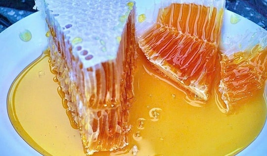 Tuyệt chiêu nhận biết mật ong nguyên chất đã bị pha nước