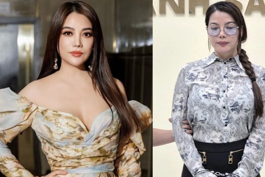 Sự nghiệp của diễn viên Trương Ngọc Ánh trước khi bị bắt