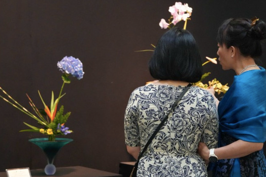 Gần 40 tác phẩm Ikebana Nhật Bản 'gây sốt', công chúng Việt say mê