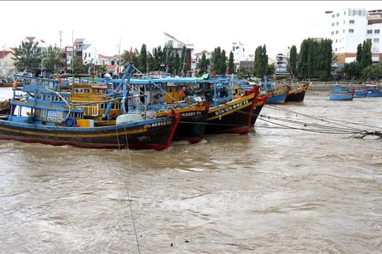 Lâm Đồng: Chìm 5 tàu cá do mưa lũ