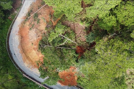 Lâm Đồng: Thuê tư vấn đánh giá, xử lý dứt điểm sạt lở trên đèo D’ran