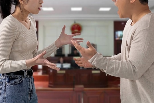 Con gái kiện bố, đòi bán nhà để đi du học