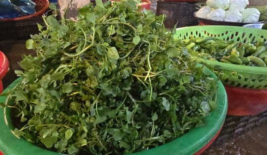 Giá nông thủy sản miền Tây: Rau xanh tăng giá vùn vụt