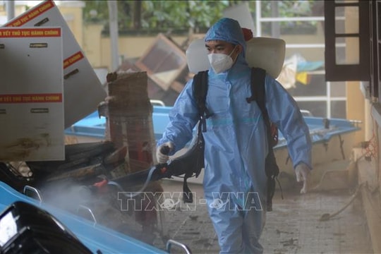 Hỗ trợ hóa chất, giống cây trồng, vật nuôi để khôi phục sản xuất sau lũ