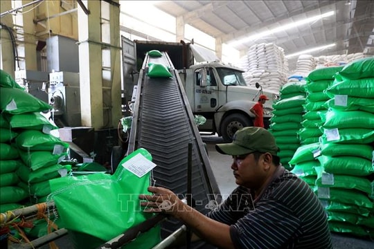 Hình mẫu xây dựng mạng lưới an ninh lương thực ASEAN