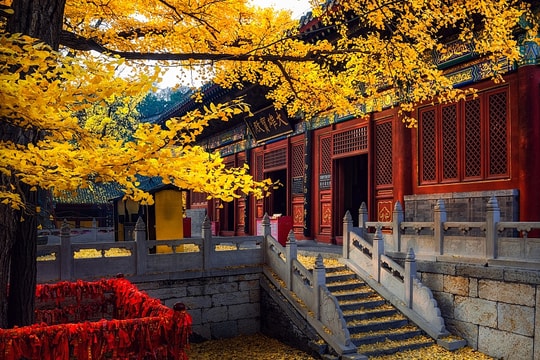 Nước nào có biên giới giáp nhiều quốc gia nhất hành tinh?