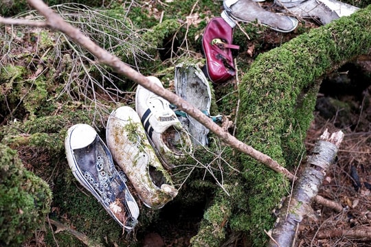 Sự thật về rừng tự sát nổi tiếng Nhật Bản