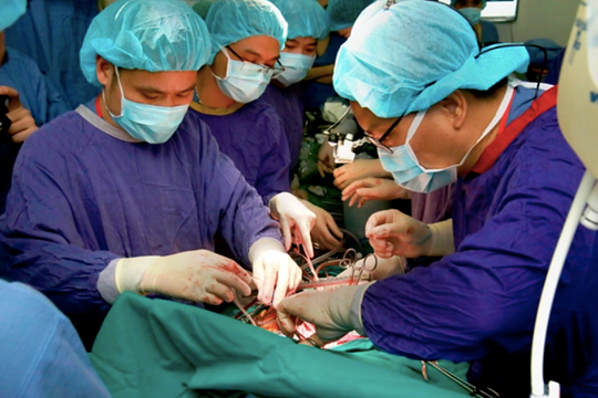 Việt Nam ghép được 6 loại tạng sau hơn 30 năm