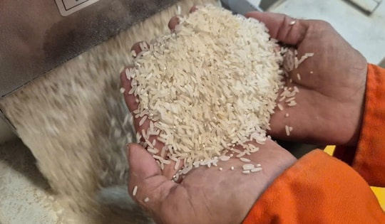 Những loại gạo nào có cơ hội ở thị trường nhập khẩu gạo tới 90%?