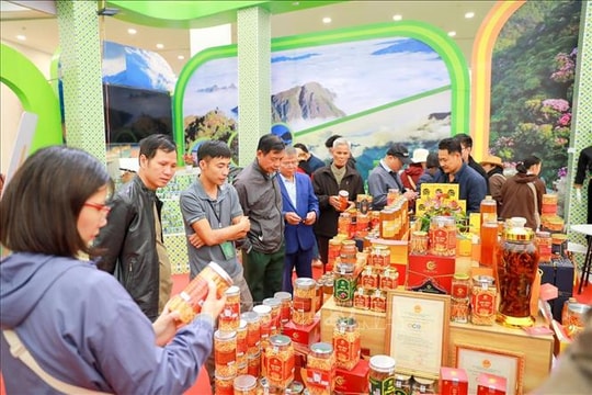 Hấp dẫn những 'miền đặc sản' tại Hội chợ Mùa Thu 2025