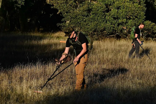 'Cơn sốt' đào vàng tại Mỹ