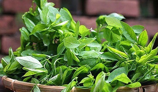 Loại rau có lượng sắt gấp 7 lần thịt bò nhưng giá lại "siêu rẻ"