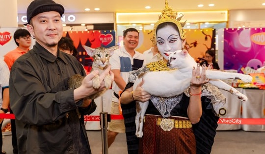 Lần đầu cặp đôi mèo "xấu nhất thế giới" có mặt tại TP HCM