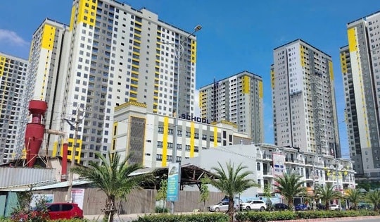 Một đại gia bất động sản vẫn kiên định với "nhà vừa túi tiền" dù nhiều nơi đã vượt 100 triệu đồng/m2