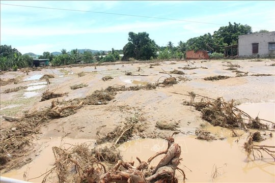 Kiểm tra hiện trạng các hồ chứa nước bị vỡ tại Tuy Phong (Lâm Đồng)