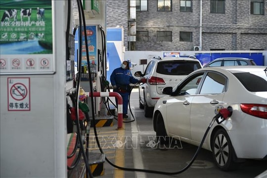 Giá dầu tăng khi OPEC+ quyết định không nâng sản lượng vào năm tới