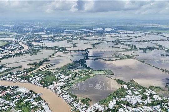 Dự báo vùng hạ lưu sông Hậu tại An Giang đỉnh triều trên báo động 3