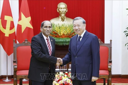 Tổng Bí thư Tô Lâm tiếp Đại sứ Singapore đến chào từ biệt