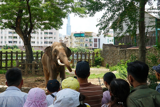 Thảo Cầm Viên lãi nhờ bán hơn 5.500 vé mỗi ngày