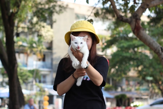 Muôn vàn rắc rối khi lần đầu nuôi thú cưng